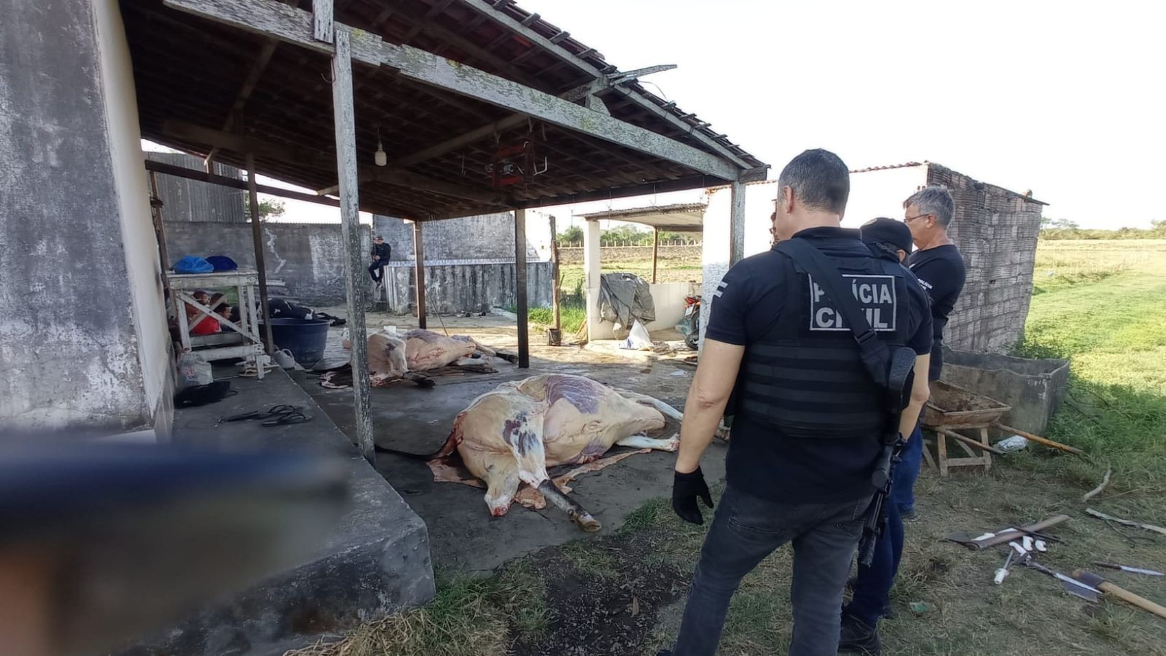 Homem é preso em flagrante suspeito de venda de carne em condição imprópria para consumo em Propriá