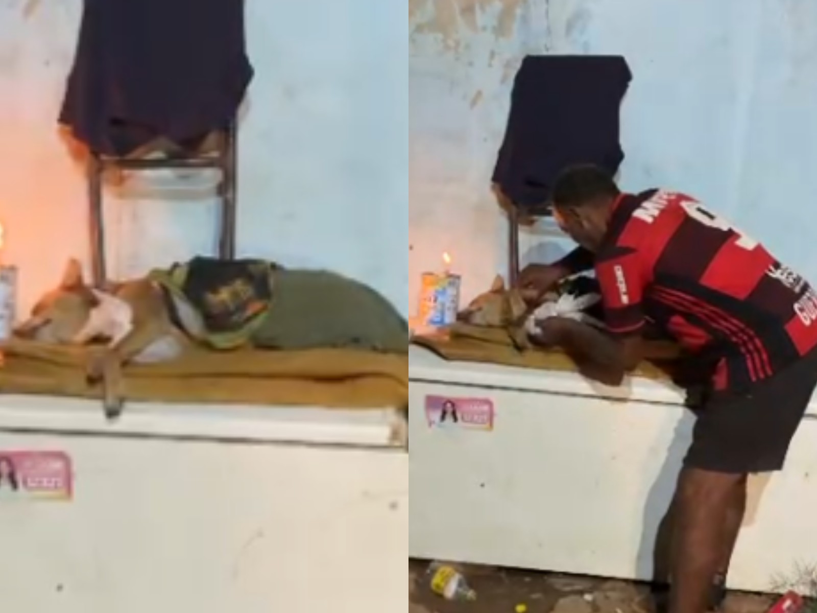 VÍDEO: Tutor e amigos fazem velório de cachorro atropelado e morto no Acre