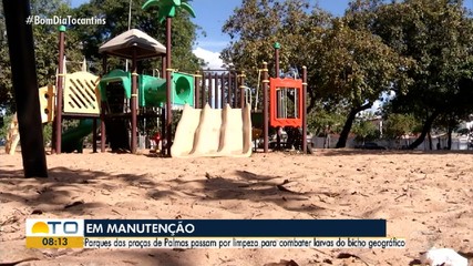 Parquinhos de Palmas passam por limpeza em ação de combate às larvas do bicho geográfico