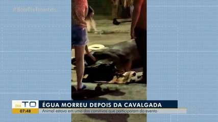 Égua morre após cavalgada de Gurupi