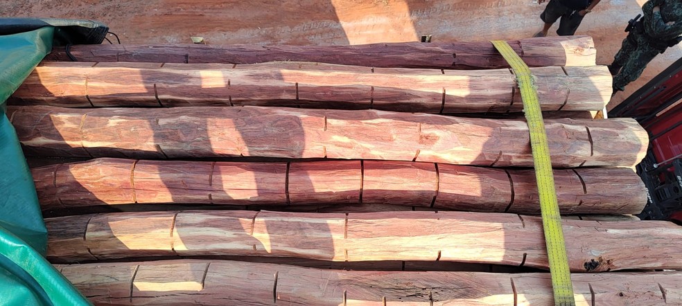 Idoso é multado por apresentar documentação de madeira vencida, em Presidente Venceslau (SP) — Foto: Polícia Ambiental