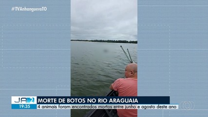Botos são encontrados mortos no Rio Araguaia