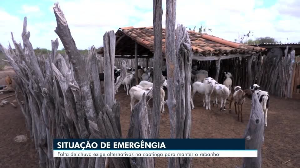 VÍDEOS: AB2 de segunda-feira, 23 de fevereiro de 2026