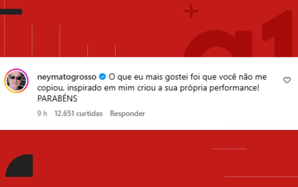 Ney Matogrosso comentou a publicação nas redes sociais — Foto: Redes sociais