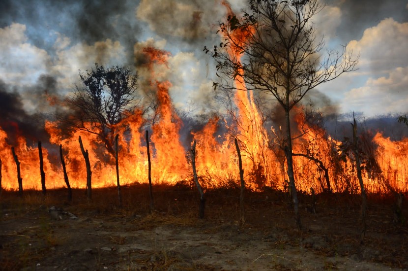 Focos de queimadas aumentam 50% nos primeiros meses de 2024 em Rondônia, aponta Inpe  