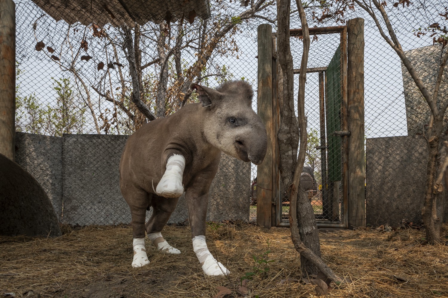 Você Não Tá Convidada pro Meu Bat Mitzvá!