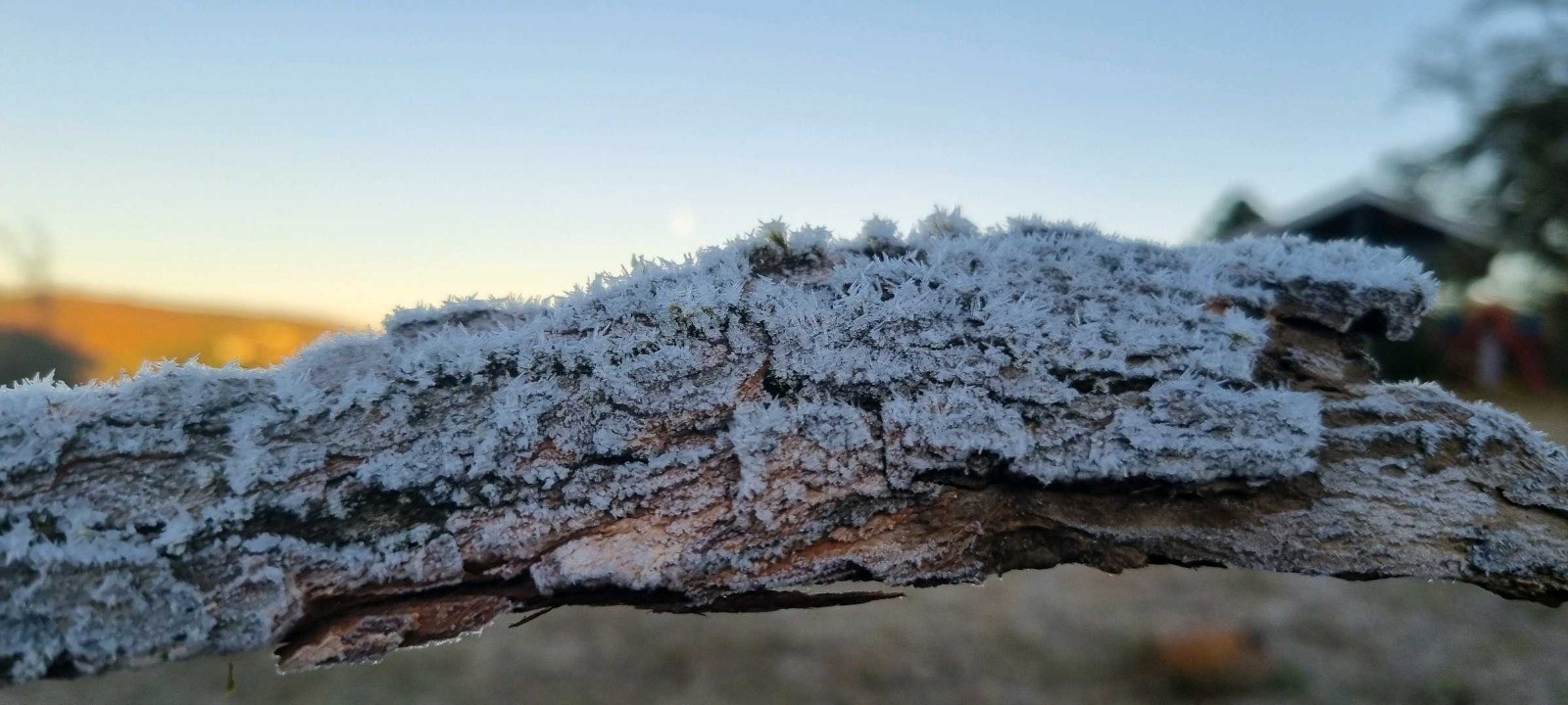 Frio em SP: Campos do Jordão marca -0,9°C e outras cidades registram baixas temperaturas