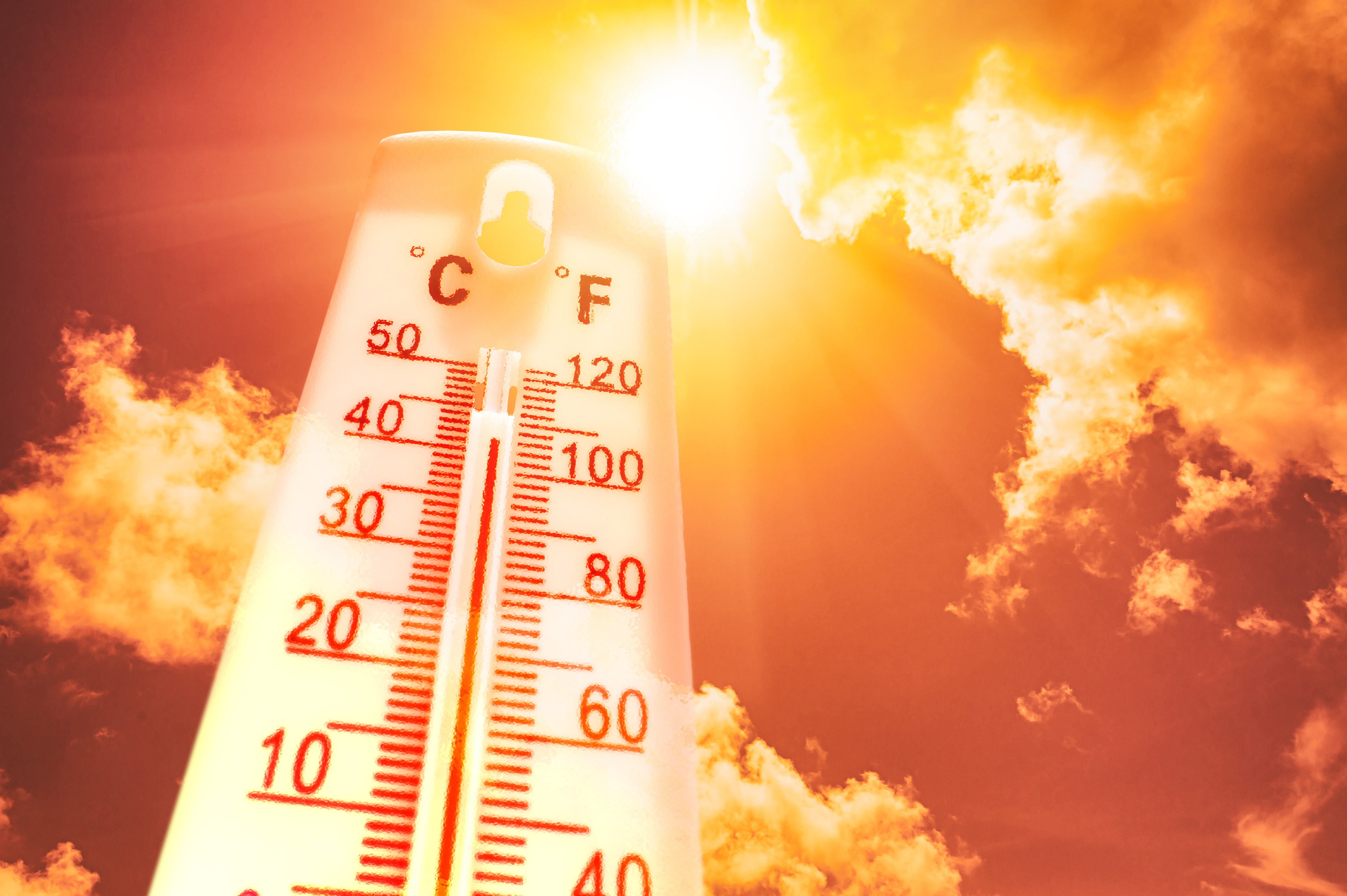 
Mundo caminha para 2,6 °C de aquecimento e mortes por calor aumentam 167% entre idosos, aponta relatório