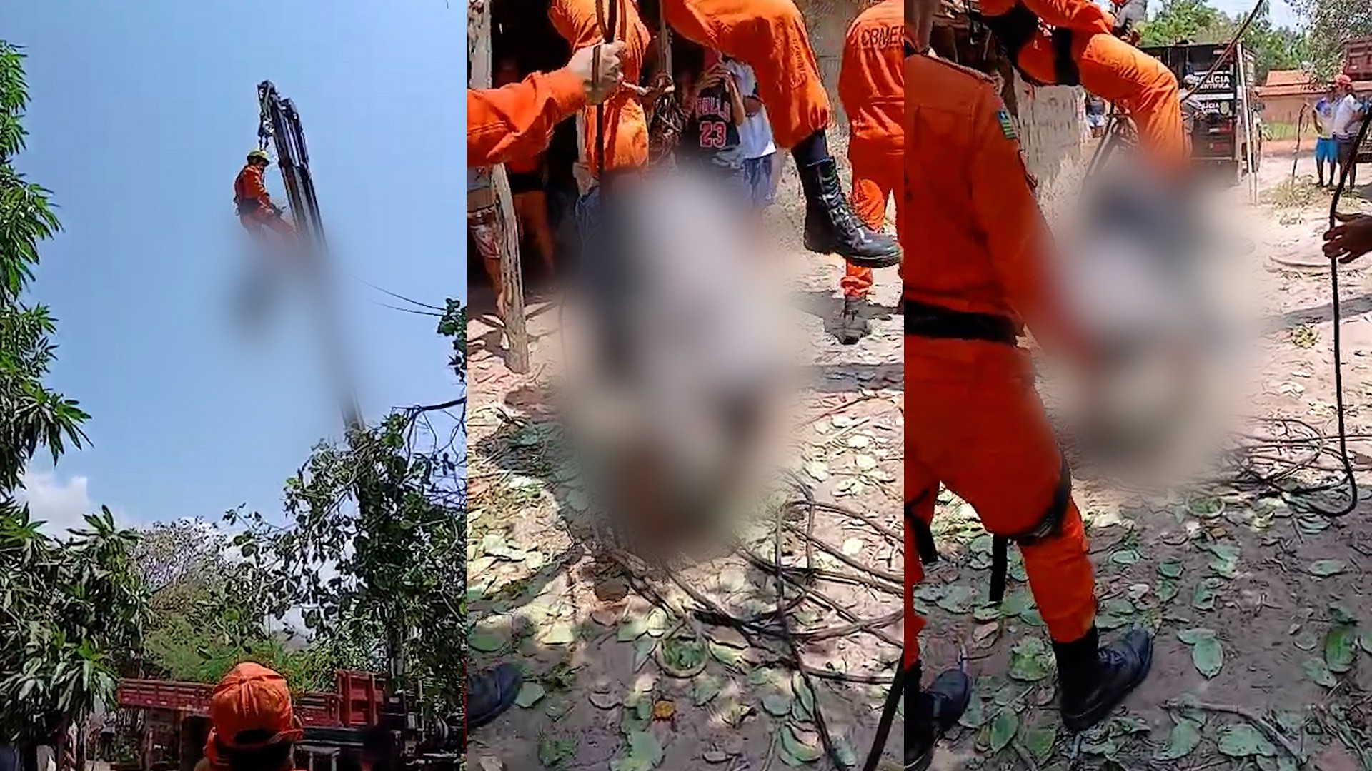 Homem morre ao ser atingido por galho de cajueiro durante poda no litoral do Piauí