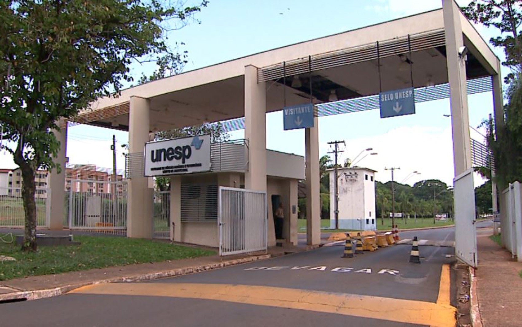 Jaboticabal, SP, confirma caso de gripe aviária; não há relação com produção alimentícia
