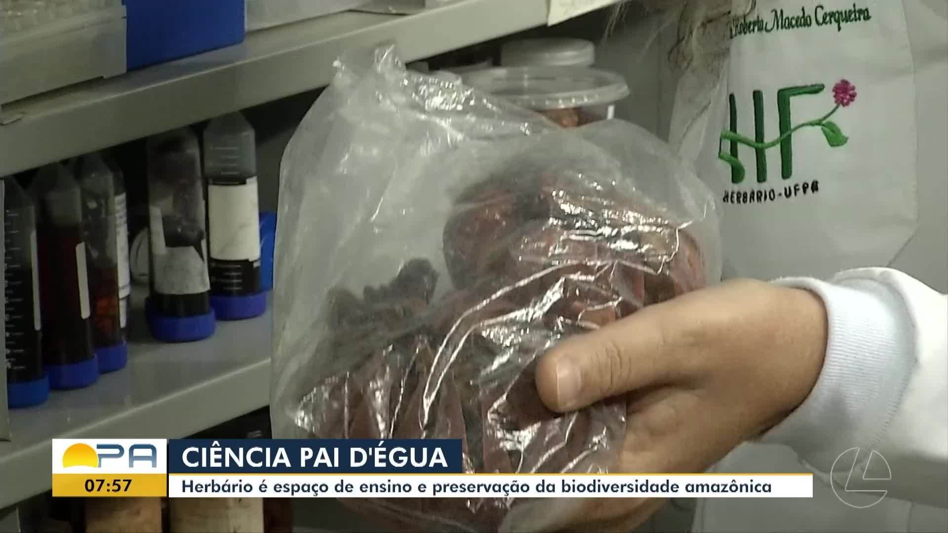 VÍDEOS: BDP de sexta-feira, 23 de janeiro de 2026