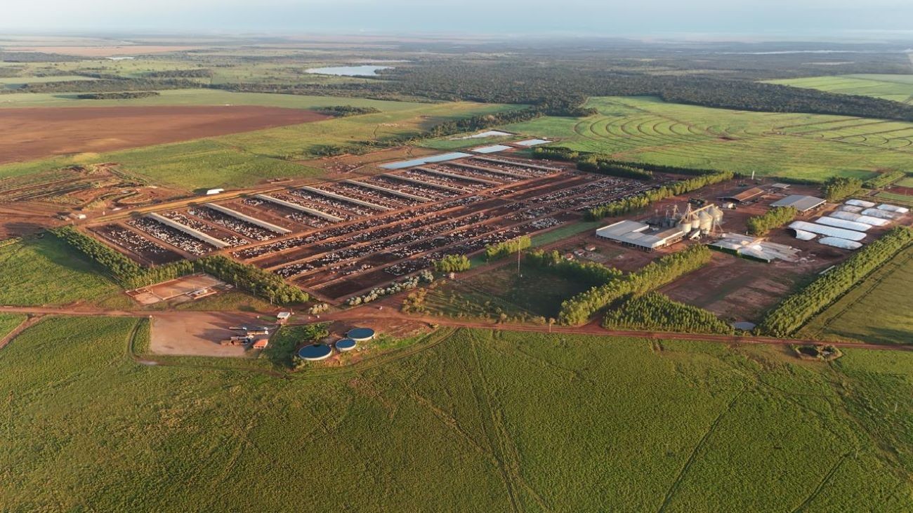Motta Agropecuária amplia capacidade de engorda no Tocantins