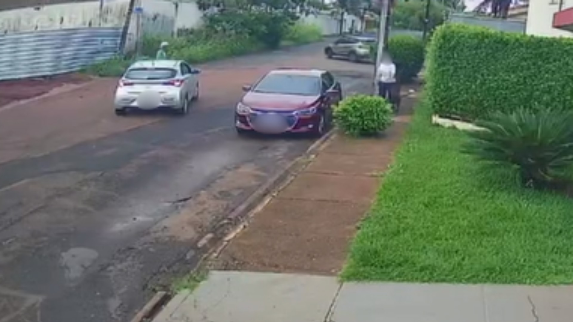 Cachorro 'toca o terror' em rua danificando carros e assustando moradores em MG