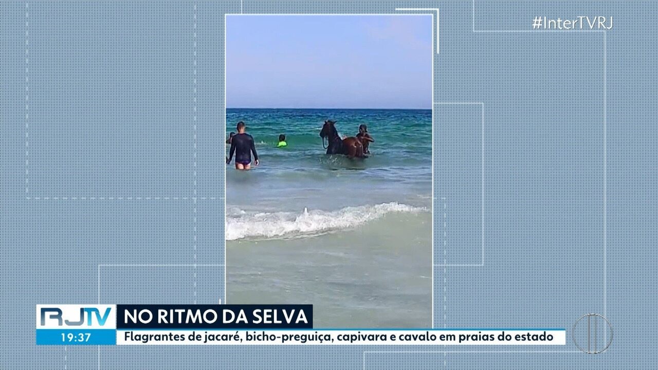 Homem leva cavalo para tomar banho de mar em Cabo Frio