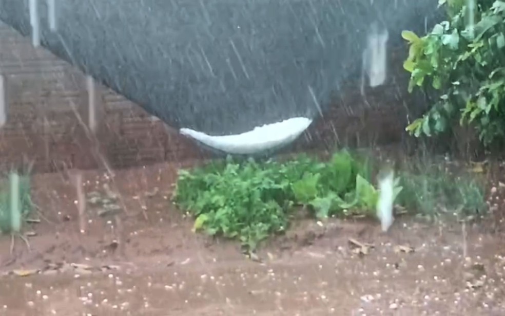 Chuva de granizo acumula pedras de gelo em Piacatu (SP) — Foto: Reprodução/Redes Sociais