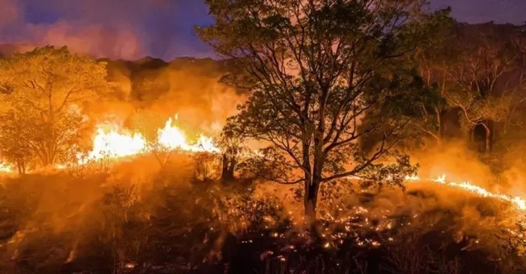 Incêndio atinge área de mata e se aproxima de casas de distrito em Botucatu 