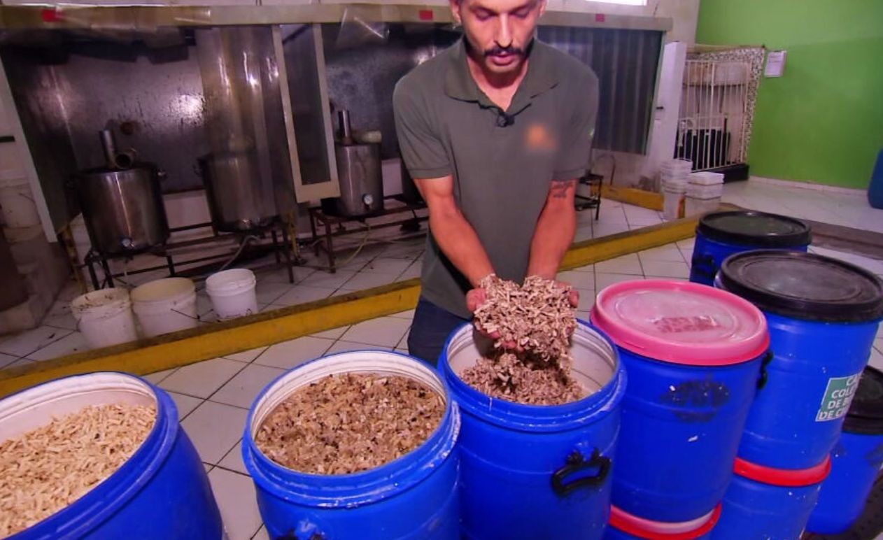 Tem Solução: de bitucas de cigarro a pneus velhos, projetos transformam resíduos em produtos sustentáveis