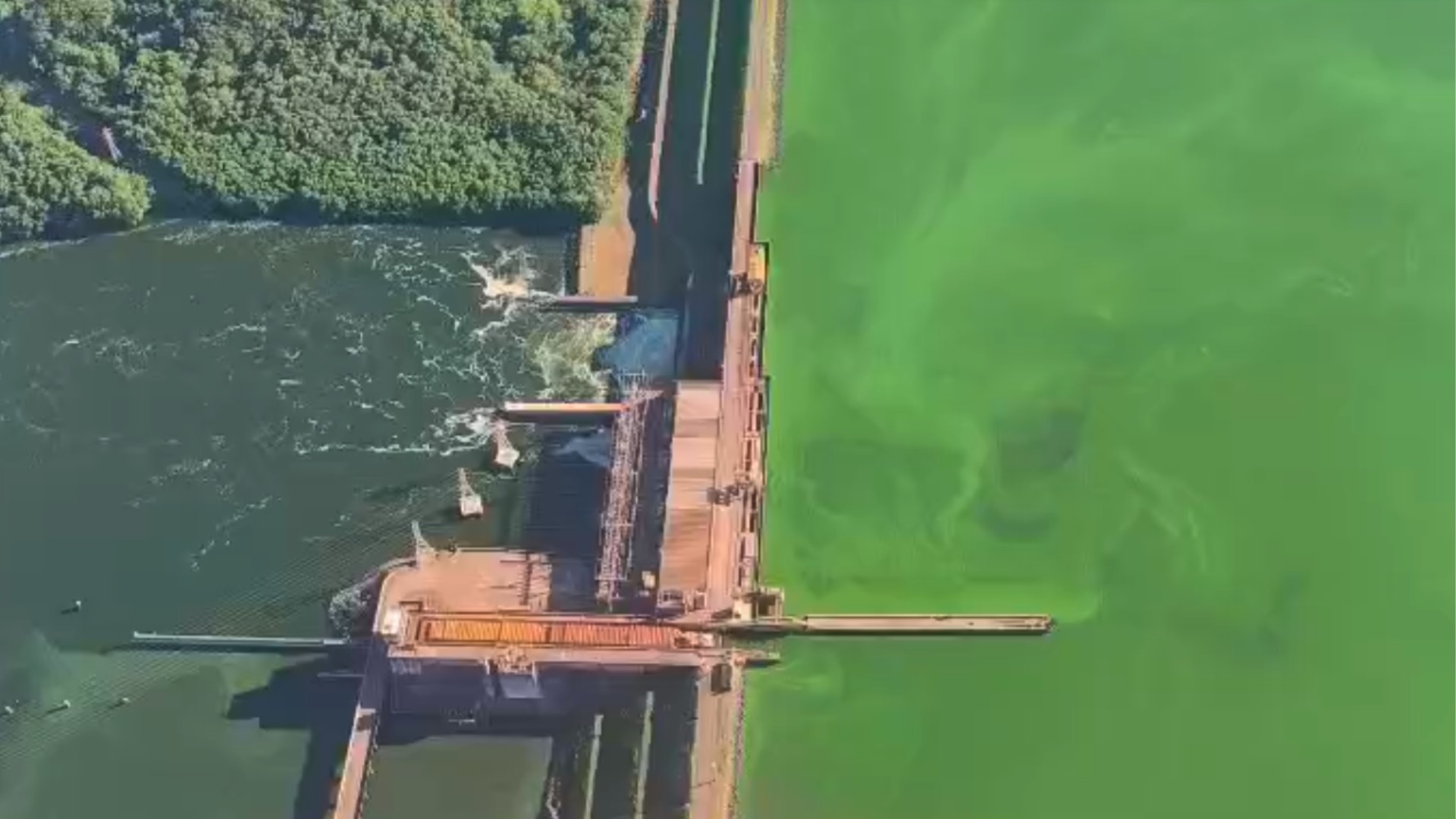 VÍDEO: mancha verde se 'espalha' por pelo menos 100 km do Rio Tietê em cidades do interior de SP